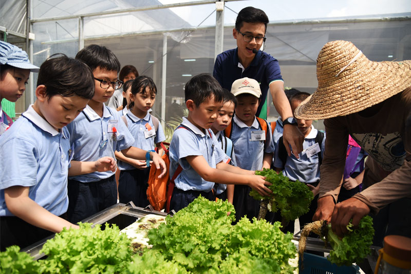 Children Experience the Joy of Doing Good  